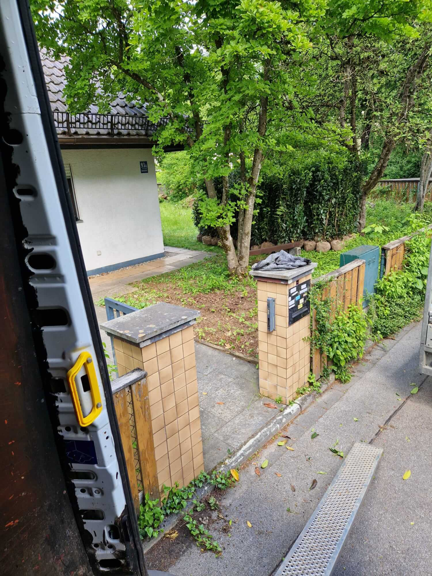 Prunus laurocerasus Genolia 160-180 cm